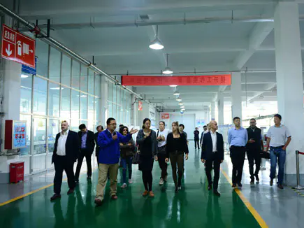 Italian government delegation was invited to FGI